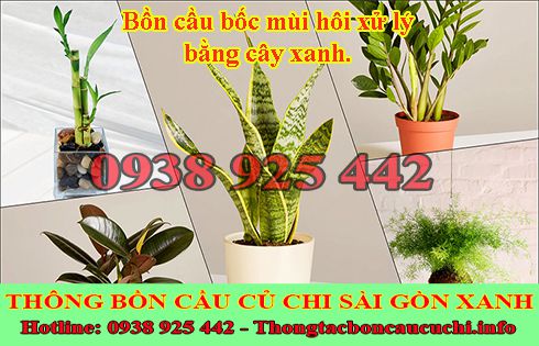 Bồn cầu bốc mùi hôi bị sao, nguyên nhân cách xử lý hiệu quả ?